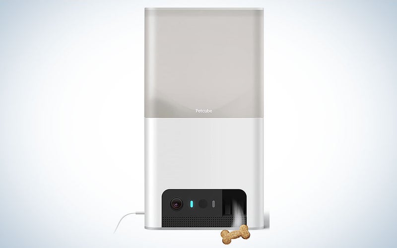 A product image of the Petcube Bites 2 Lite dog camera