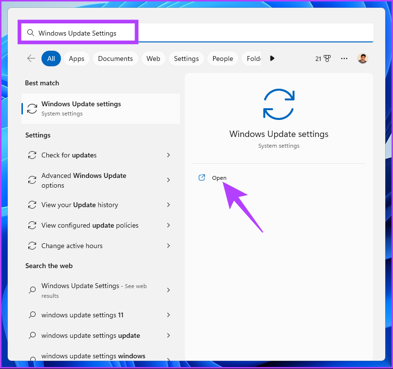 type Windows Update settings