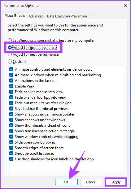 select ‘Adjust for best performance’