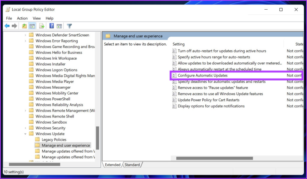 Haga doble clic en Configurar actualizaciones automáticas