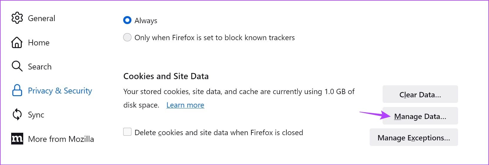 Manage Site data on Firefox