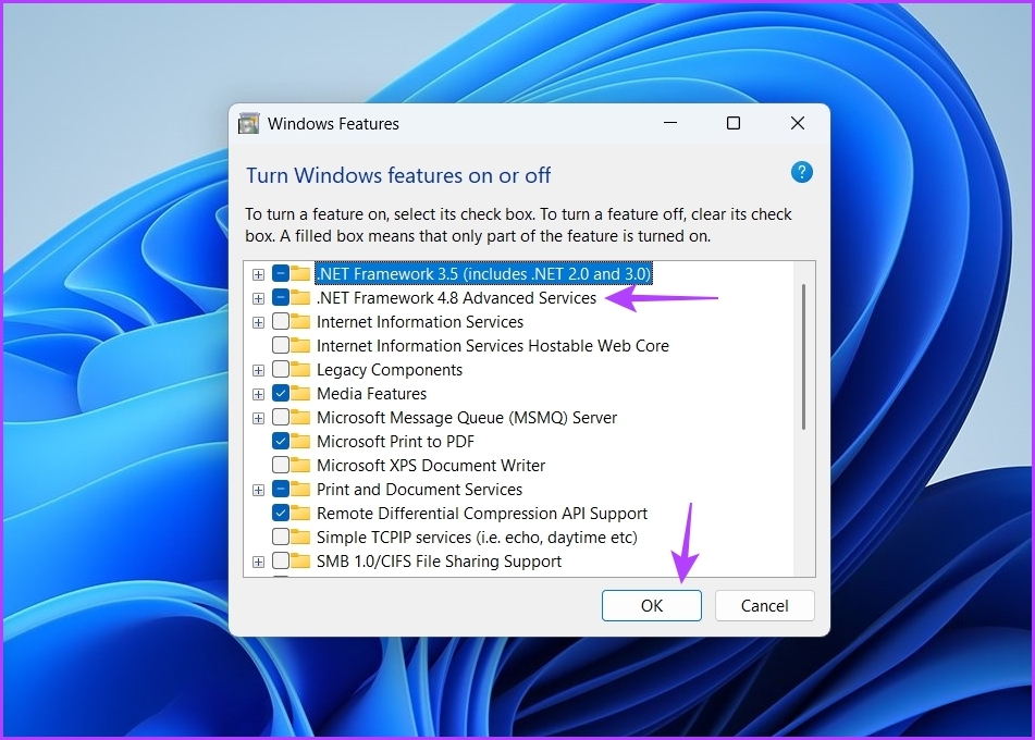 NET Framework está seleccionado
