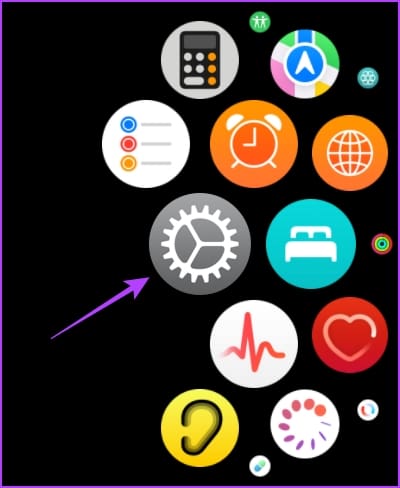 Open Settings on Apple Watch