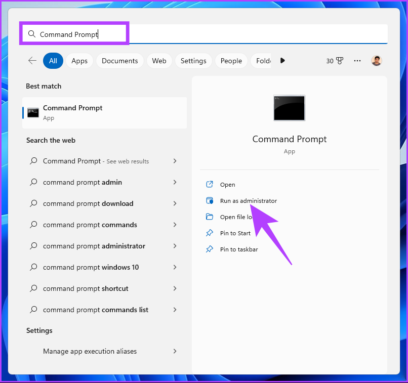 type Command Prompt