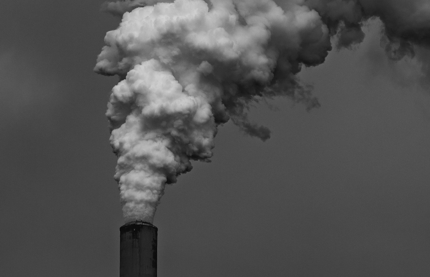 ¿Cuándo debería comprar Air Purifier 3?